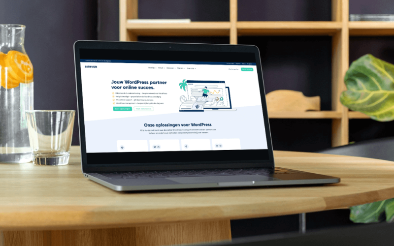 Surver hosting review